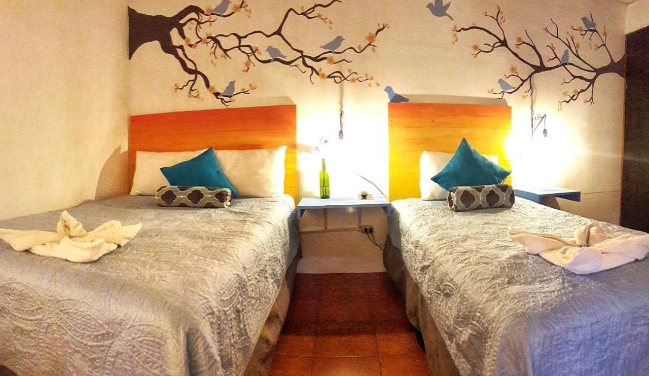 Hotel Y Arte Norte Antigua Eksteriør billede